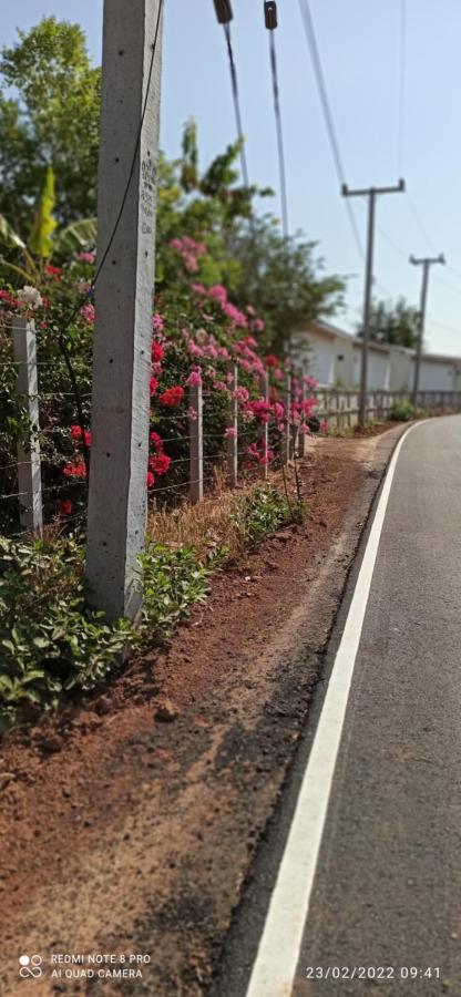 Homestay568 Branch 2 Muang Suang Exteriér fotografie